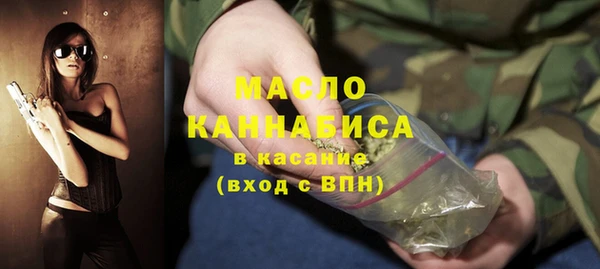 гидра Ельня