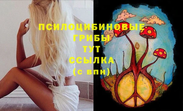кокс Армянск