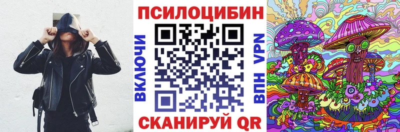 где можно купить Фролово Галлюциногенные грибы ЛСД